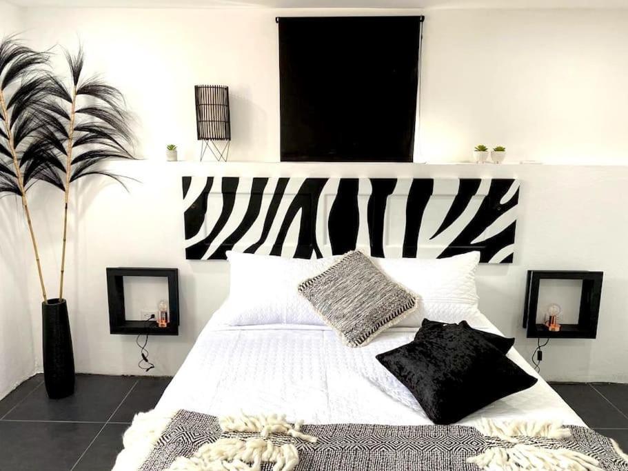 Paradiso Apartments - 1 Bdr オラニエスタッド エクステリア 写真